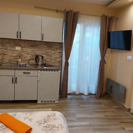 Apartment Knezevic *