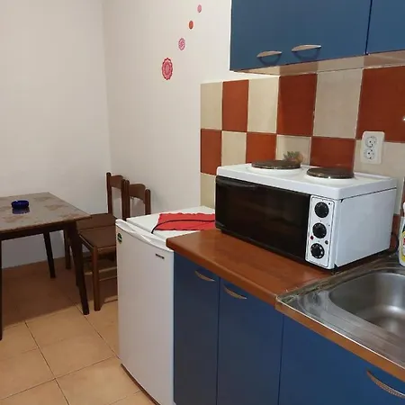 Knezevic 즐라티보