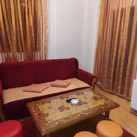 Knezevic * 즐라티보