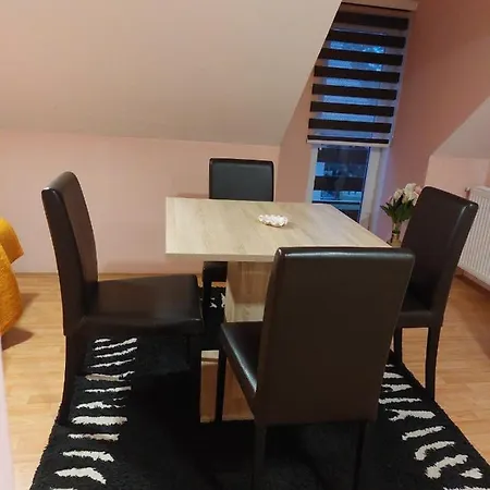 Apartment Knezevic