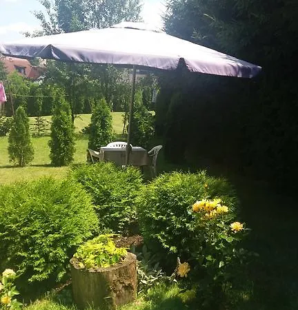 Knezevic زلاتيبور