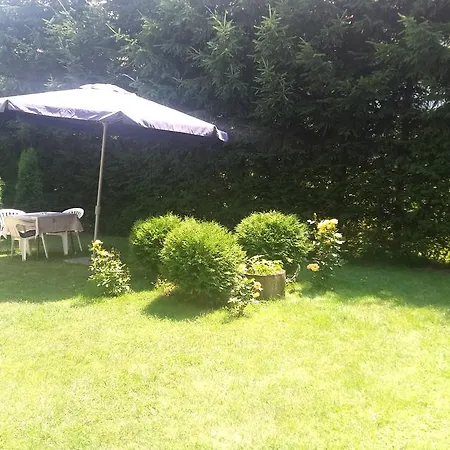 Knezevic زلاتيبور