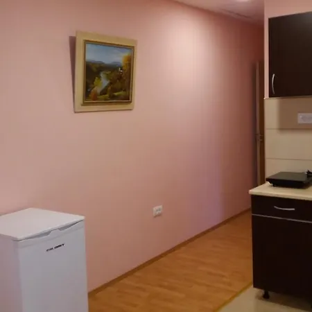 Knezevic Apartment *