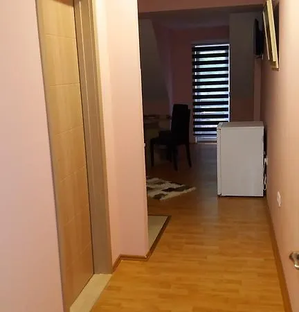 Knezevic 즐라티보