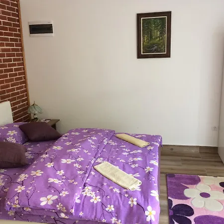 Knezevic زلاتيبور