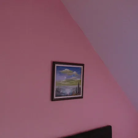 Apartment Knezevic