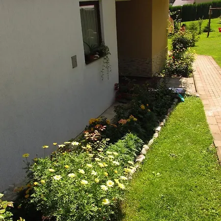 Knezevic 즐라티보