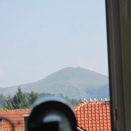 Knezevic