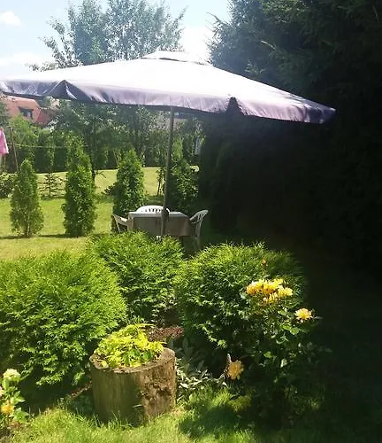 Knezevic זלאטיבור