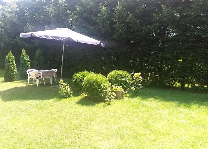 Knezevic זלאטיבור