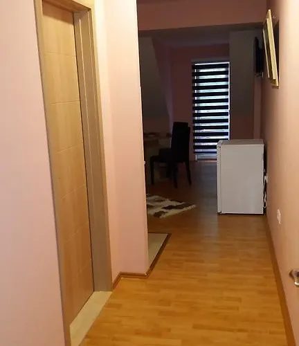 Knezevic זלאטיבור