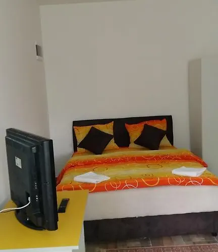 Knezevic זלאטיבור