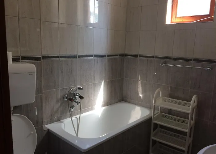 Knezevic זלאטיבור