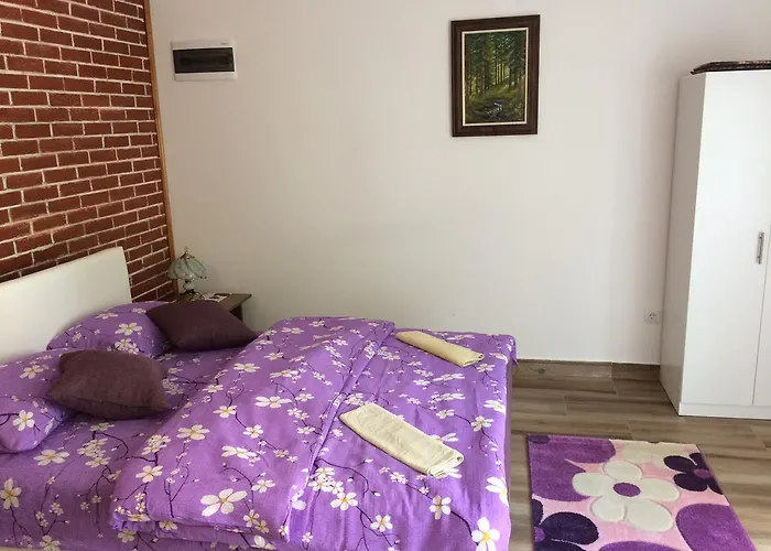 Knezevic זלאטיבור