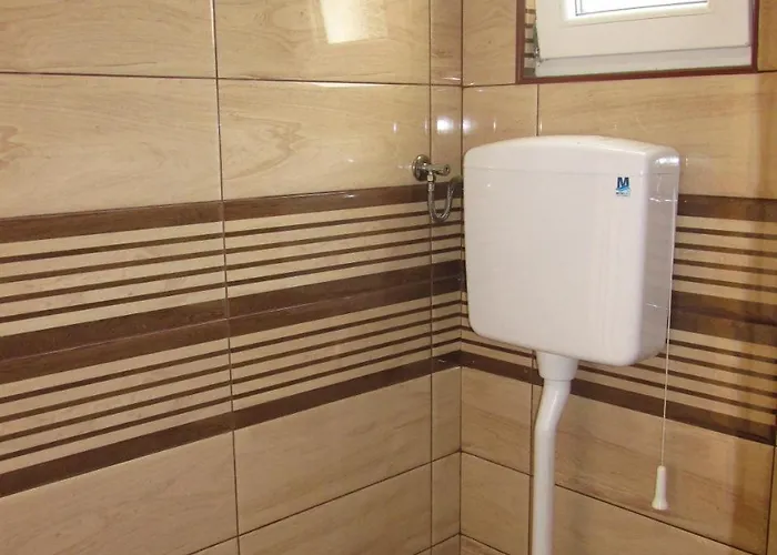 Knezevic * זלאטיבור