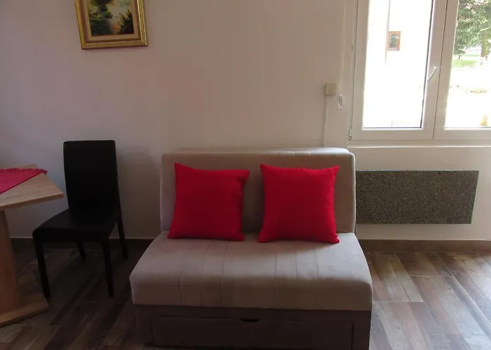 Knezevic זלאטיבור