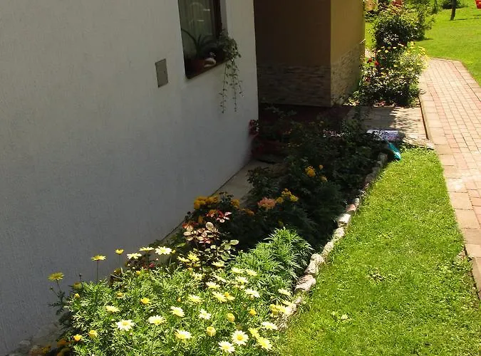 Knezevic זלאטיבור